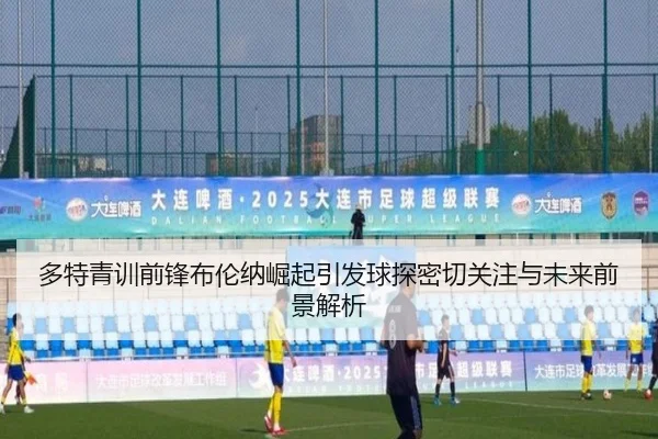 多特青训前锋布伦纳崛起引发球探密切关注与未来前景解析